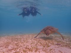 ͂Ȃ܂邳imtida{Óւ̓eʐ^1