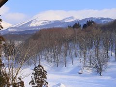 Ƃ񂳂̌RuÉ ώᐅ̓ւ̓eʐ^2