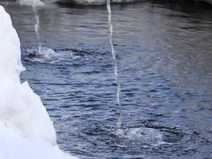 Ƃ񂳂̌RuÉ ώᐅ̓ւ̓eʐ^3