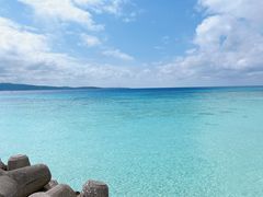 Myuuuuũ}T[rX@pb\ւ̓eʐ^1