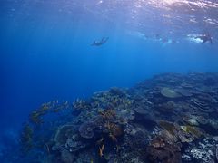 Myuuuuũ}T[rX@pb\ւ̓eʐ^2