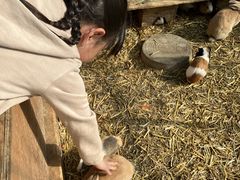 ̂񂱂̃Xgx[h}ւ̓eʐ^3