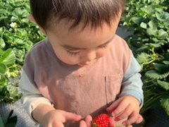 ̂񂱂̃Xgx[h}ւ̓eʐ^4