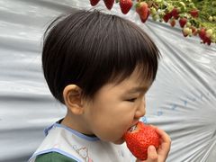 ͂炿񂳂̐V񂾔_ȉւ̓eʐ^1