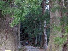 �Ƃ����񂳂�̌F��Ó��@����ւ̓��e�ʐ^1