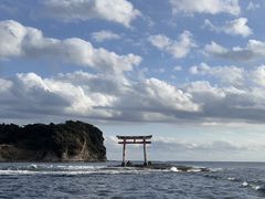 Seafari Japanւ̓eʐ^1