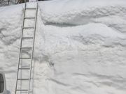 Ƃ񂳂̌ΔȂ̏h@ق̓eʐ^4