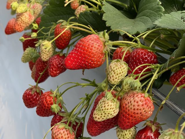 䕂������������_�c����