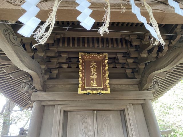 �撣���ēo���Ă��ǂ蒅�����؂ł��B_���P�_��