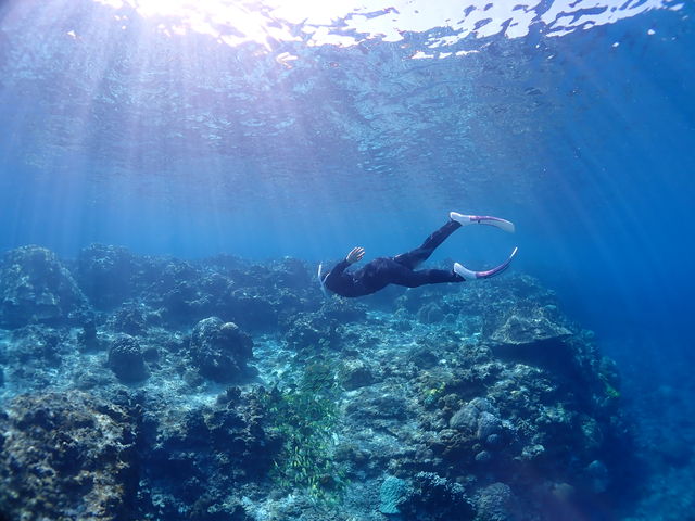 �C�Y��ł����I_BalloonFish�{�Ó�