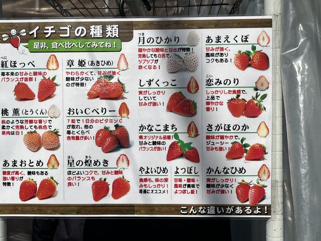 ��������H�ה�ׂ��o���܂��B_�͖{�t�@�[����������