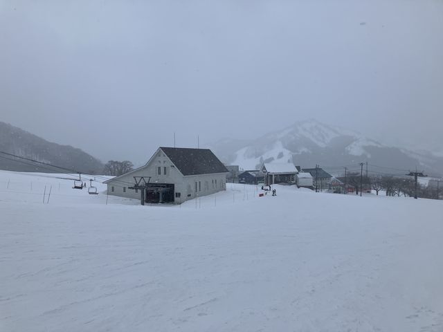 �������t�g_�⌴