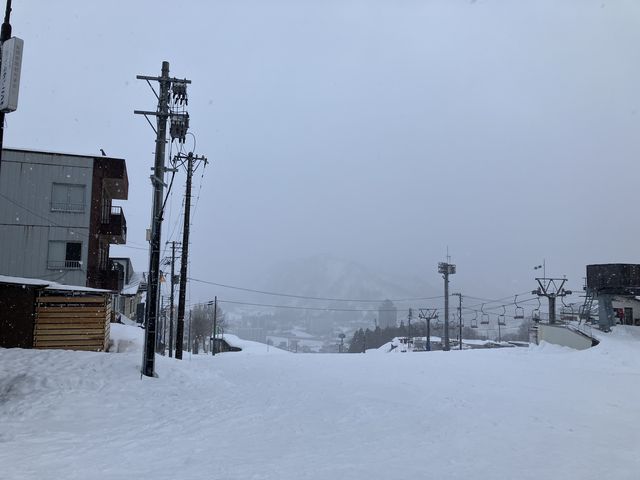 �����͌i�F���ꂸ_�⌴