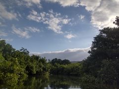 yasu̐\Jk[cA[̂тՂՂûՂvւ̓eʐ^1