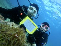 񂳂̃}T[rXނʁ[ւ̓eʐ^1