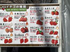 KANA����͖̉{�t�@�[�����������ւ̓��e�ʐ^1