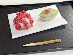 ыv낳̓{̌ ansւ̓eʐ^1