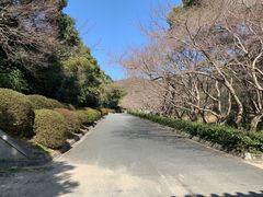 ̖ї٥ї뉀ւ̓eʐ^2