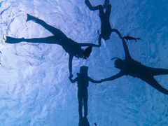 vvv̖` ꑍAEghAcA[Xւ̓eʐ^1