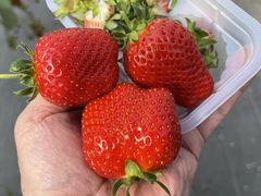 pocomac̃qt@[ւ̓eʐ^1