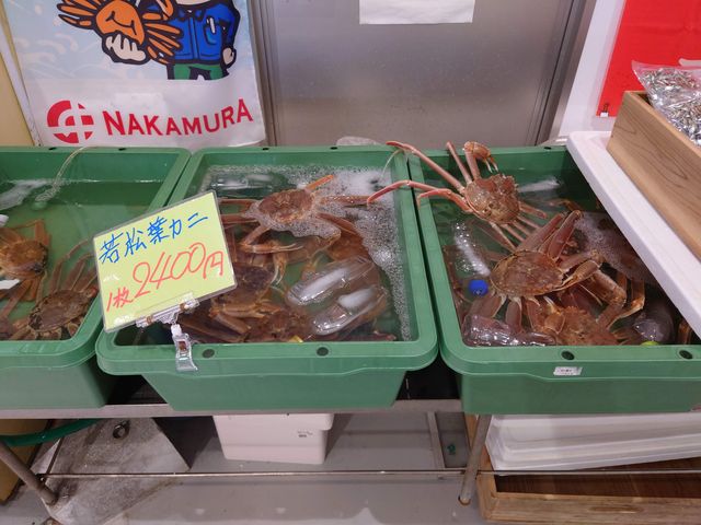 s@̉wȂ΋Cy_̉wȂ΋Cy