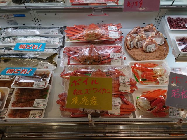 s@̉wȂ΋Cy_̉wȂ΋Cy