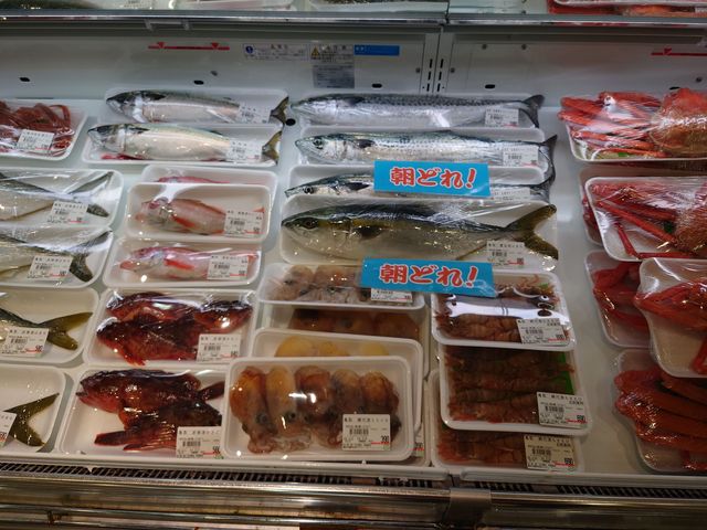 s@̉wȂ΋Cy_̉wȂ΋Cy