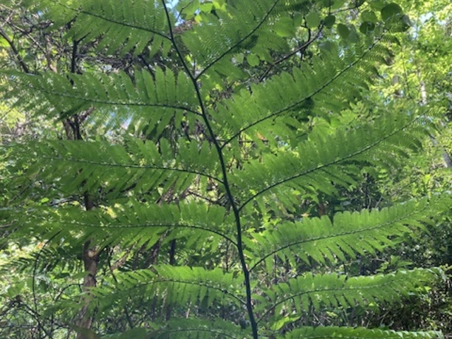 �΂ɕ�܂�Ă܂�_�����g���b�N