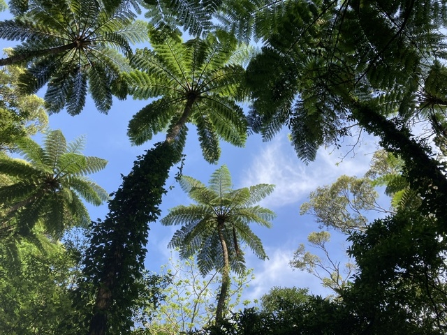 ����q�J�Q�w�S_�����g���b�N