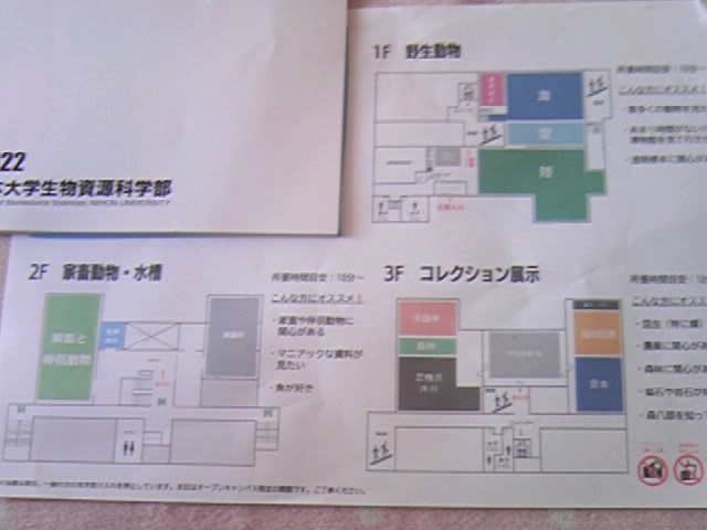 tA}bviI[vLpXpj_{wȊwفi̔فj