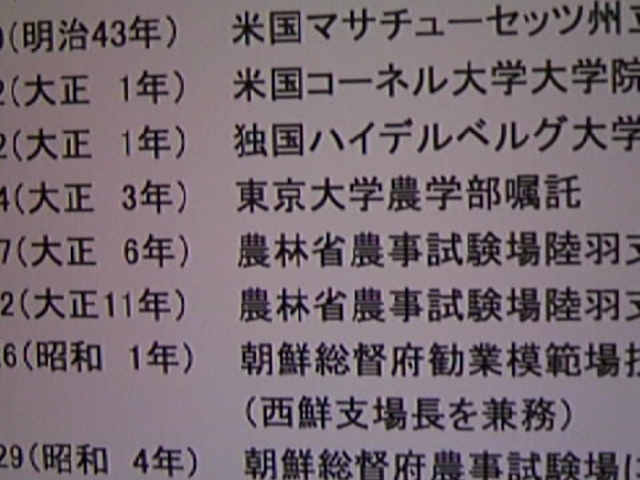 ̔ٓW̐l͉iו̒ŉiЎOYł_{wȊwفi̔فj