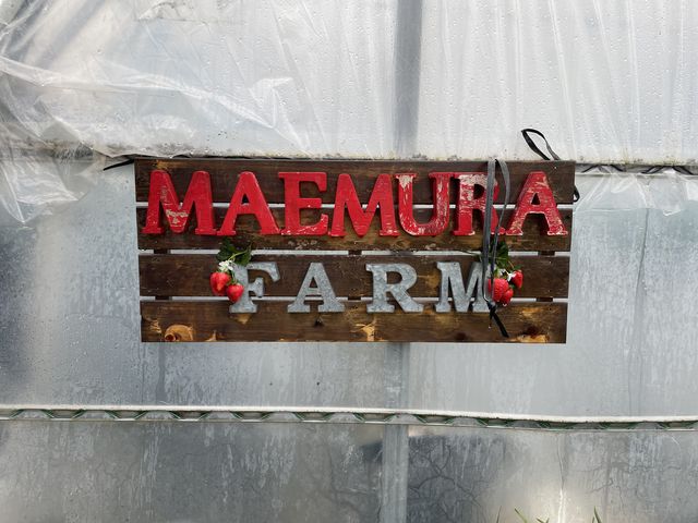 �}�G�����t�@�[������_�}�G�����t�@�[��