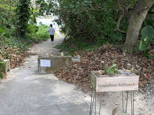 �Y��ȊC�������܂��B_Laboratorio dal mare