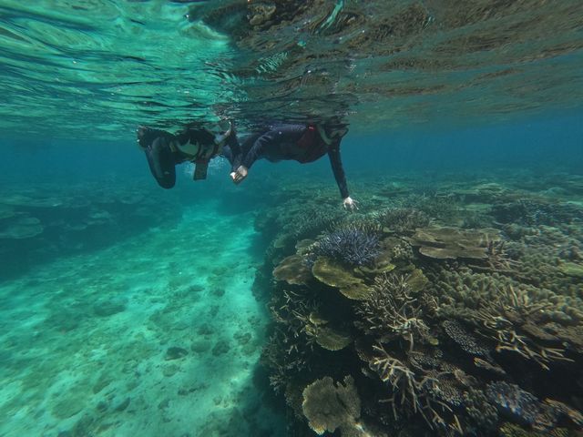 �e�[�u���X��_SUNWAVE KAYAKS