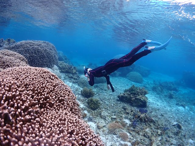 �X�m�[�P�����O�Ƃ͈Ⴄ�y����������܂��B_BalloonFish�{�Ó�