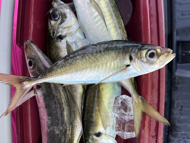 ��_��D�[��