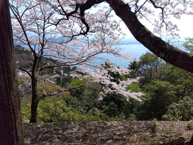 �Â炨�W�]�䂩��̍��Ɣ��i�΂ł�_�����i�΃p�[�N�E�F�C