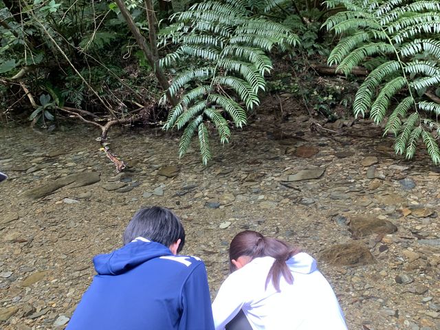 ��̐����Ƃɂ����Y��B_�����Ȃ킳���