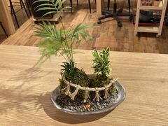 ڂ̈ɐvw߂Ɖւ̓eʐ^1