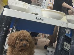 b̓| gallery cafe ւ̓eʐ^1