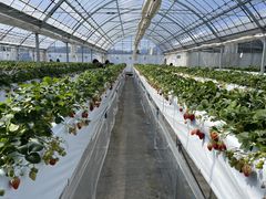 [ǂ邳̂jRjRt@[ւ̓eʐ^1