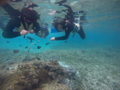 yoko̔JbNfukuւ̓eʐ^1