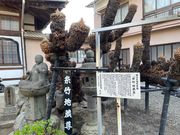 kPĂ郉C_[̊C厛̓eʐ^1