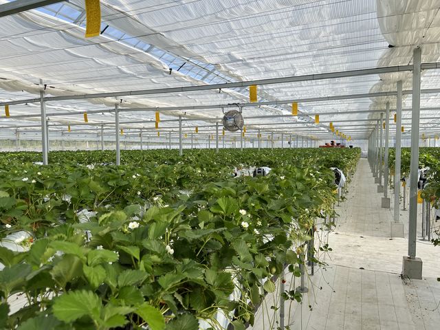 �Y��ɍ͔|����Ă܂�_FARM�@LAB