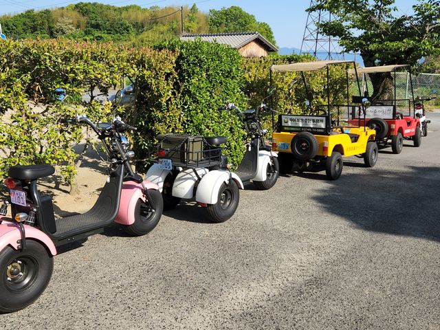 �o�M�[&�g���C�N_�ޗǔ����c�[���Y��Waikaru