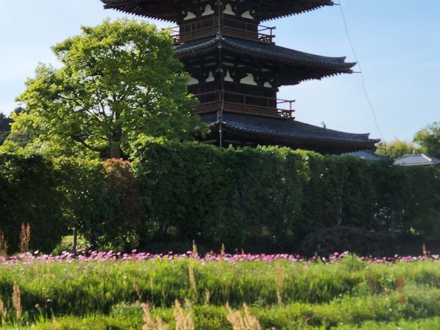 �@����_�ޗǔ����c�[���Y��Waikaru