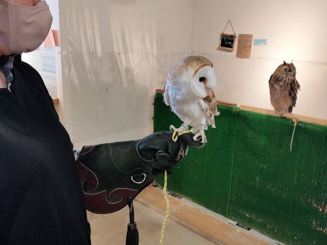 ���͂��̎q_�ӂ��낤+�͒��ނƂӂꂠ����J�t�F �J���g���[�I�E���Ղ炷