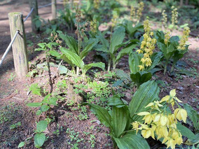 cookie̒ctr lGʂ̓m 쉀icтˉj̓eʐ^1