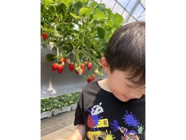 ��������������������Ɏ����Ă��܂����I_�R��Ԃǂ���������