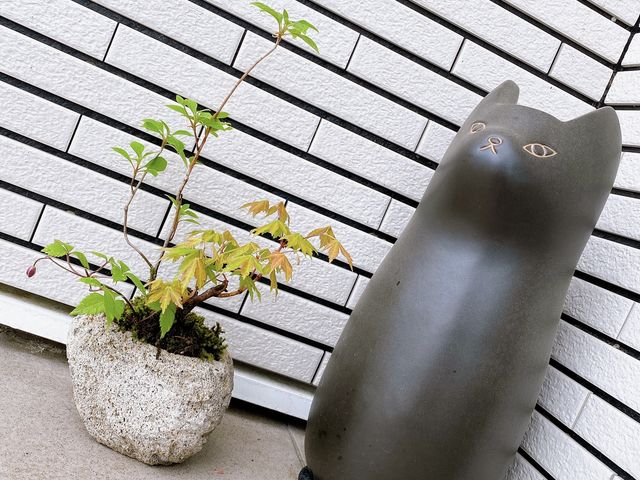 ���ւɒu���܂����B�����Ƃ����ς����ׂ����c_�`�F���[�K�[�f���쑐��